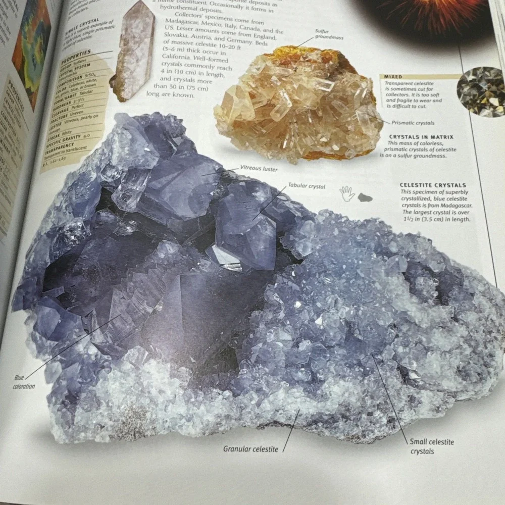 Rock & Gem Definitive Guide Rocks Minerals Gems Fossils Smithsonian DK Book